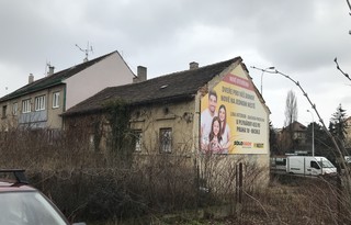 IMG_1381